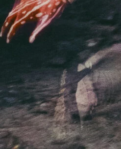 Keen Women's Jasper Rocks Sneaker X Hiking Patrol | Cuban Beige 18 Keen Women's Jasper Rocks Sneaker X Hiking Patrol | Cuban Beige -Keen Store KEEN W 1028832 HikingPatrolxJasperRocks Lifestyle PDP Single Left