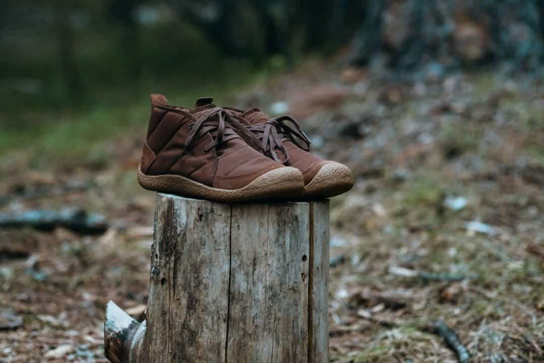 Keen Store -Keen Store z6665837125322 9ef025a9c7a10c6ea9f01bf89d978e4c